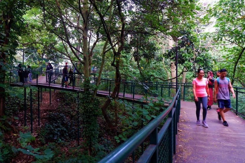 Pengunjung tengah berolah raga Hutan Kota Babakan Siliwangi, mulai Senin 25 Oktober 2021 Pemerintah Kota Bandung membuka kembali 16 Taman Tematik di Kota Bandung dengan aturan 25 persen dan menerapkan protokol kesehatan.