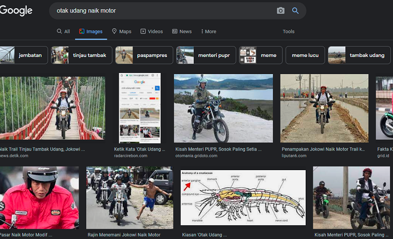 Viral Otak Udang Naik Motor yang Muncul Foto Presiden Jokowi di Google, Kok Bisa? Simak Penjelasannya