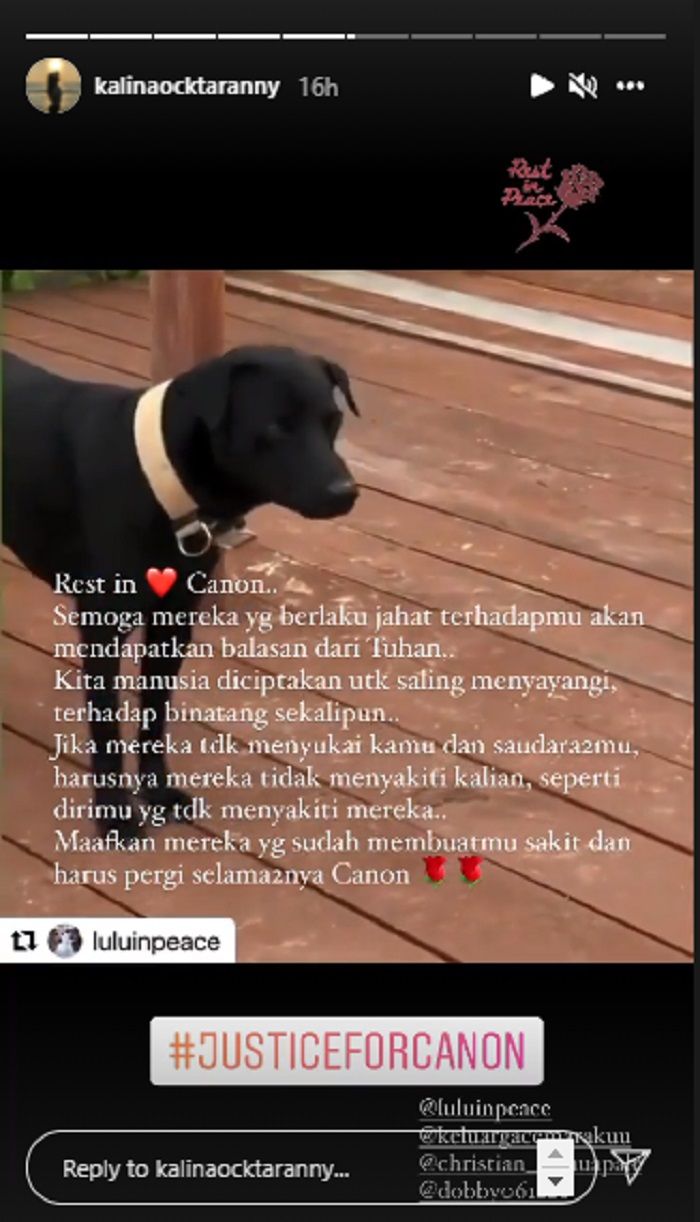 Kalina Ocktaranny turut berduka atas kematian anjing bernama Canon usai diduga disiksa oleh oknum Satpol PP di Kecamatan Pulau Banyak, Aceh.*
