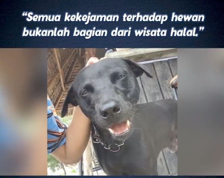 Pro Kontra Wisata Halal Muncul karena Matinya Anjing Canon