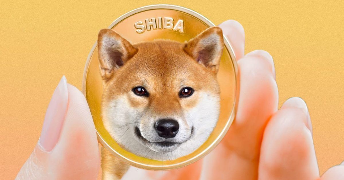 Apa Itu Tren Coin Shiba Inu Yang Meroket 777 Persen Dalam 30 Hari ...