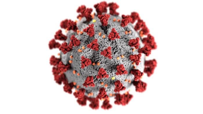 Ilustrasi Virus Corona dari Dekat/Unsplash/CDC