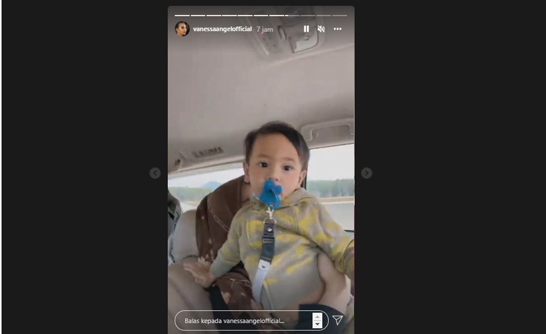 Vanessa Angel dan Suami Meninggal Dunia, Begini Postingan Instagram Story Terakhir Sebelum Kejadian Kecelakaan