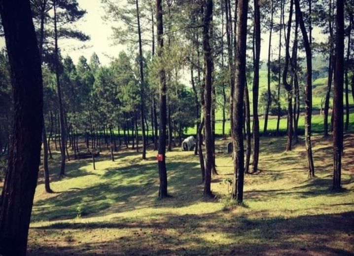 Hutan Pinus Rahong, Pangalengan