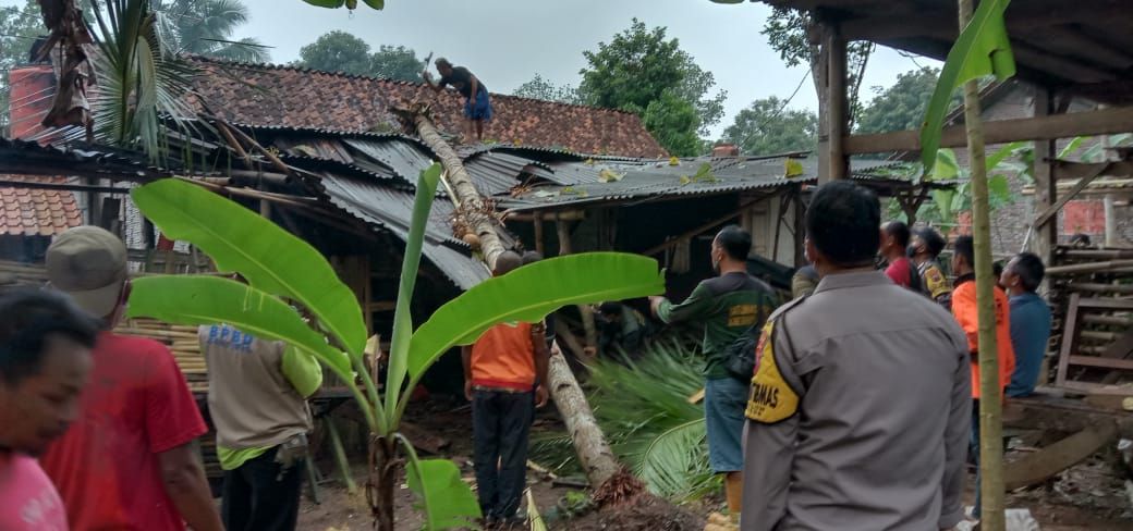 Rumah seorang warga di Desa Plana, Kecamatan Somagede, Kabupaten Banyumas tertimpa pohon akibat bencana alam angin ribut, 6 Nopember 2021. / Polsek Somagede