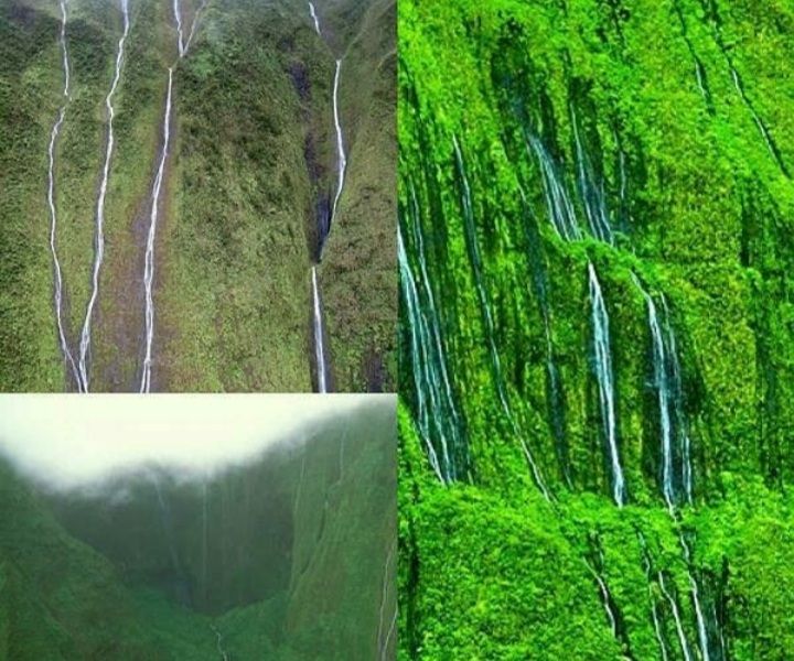FAKTA MENARIK, Gunung Waialeale di Pulau Kauai, Kepulauan Hawaii Sering Diguyur Hujan, Ini Penyebabnya