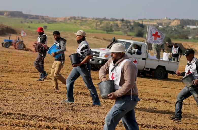Petani Palestina, dibantu oleh Komite Palang Merah Internasional (ICRC), melempar benih gandum saat mereka menanam di ladang dekat perbatasan Gaza Israel di Jalur Gaza tengah, 3 Februari 2020.