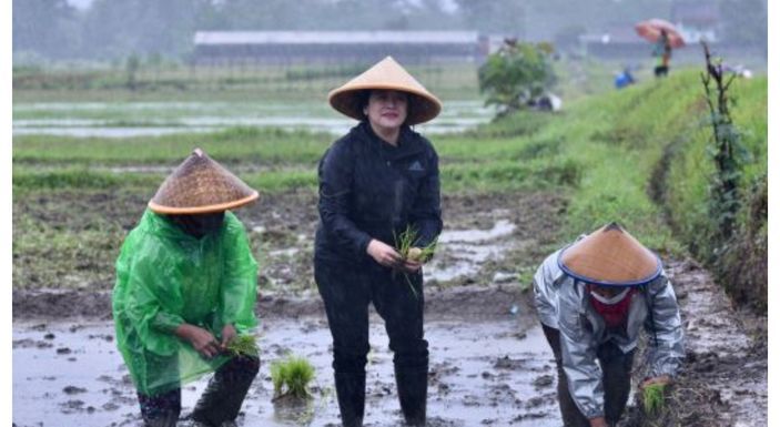 Aksi Puan Maharani di Sawah saat Hujan-hujanan Dinilai Pencitraan, Terungkap 1 Perintah Megawati