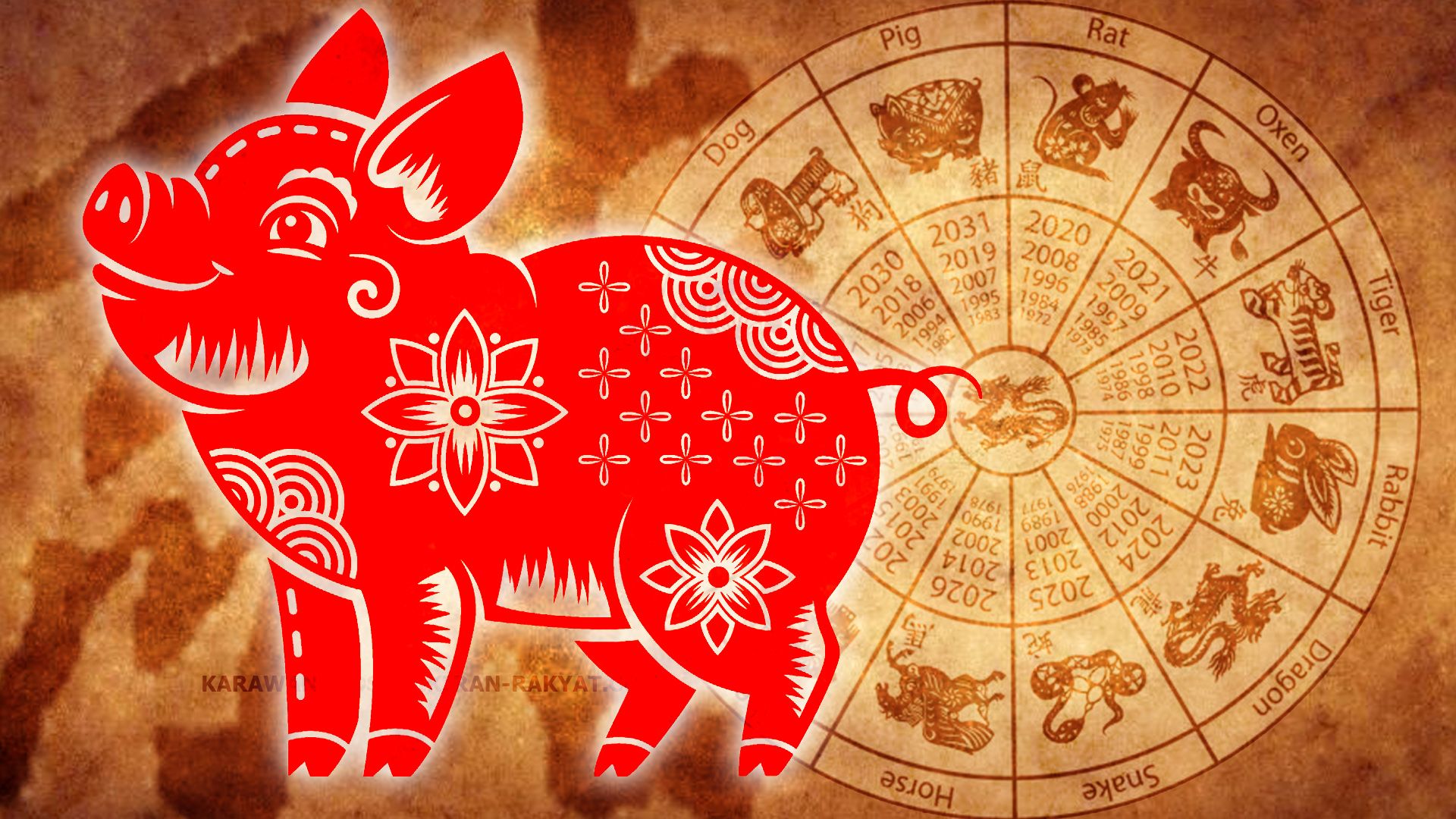 Ilustrasi Shio Babi Dalam Astrologi Cina.