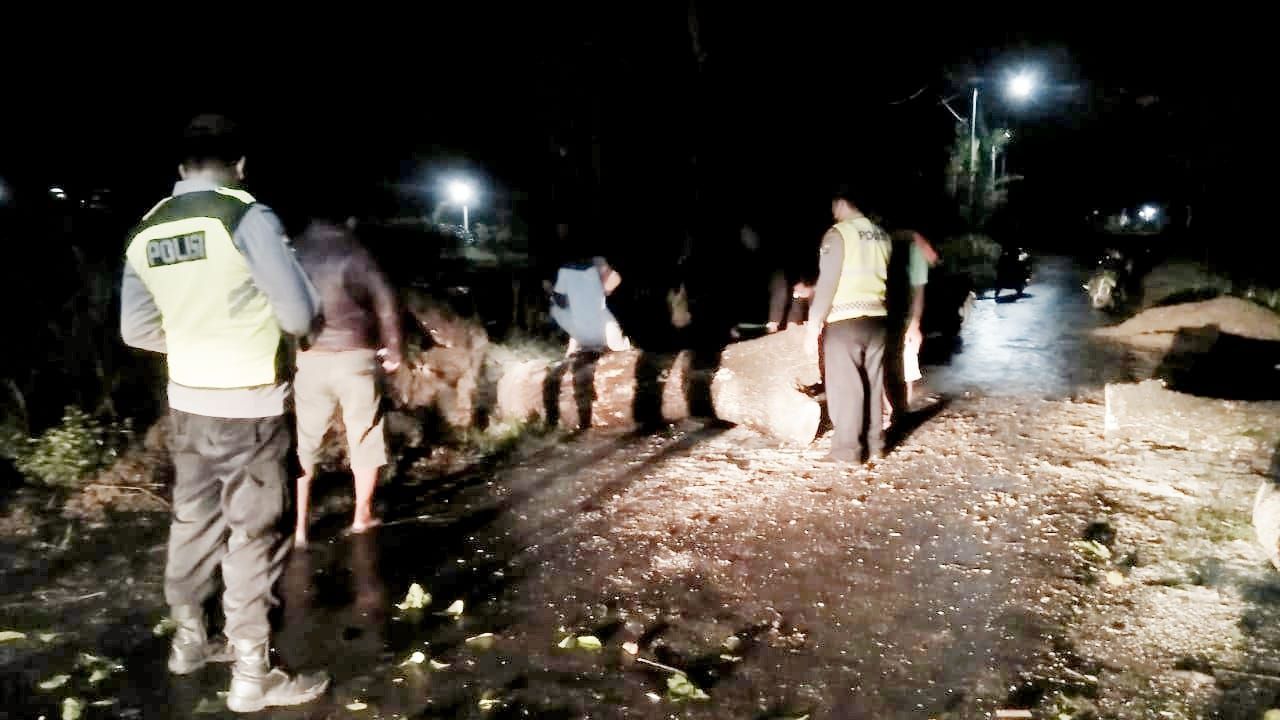 Petugas dibantu masyarakat lakukan pemotongan Pohon Trembesi yang tumbang