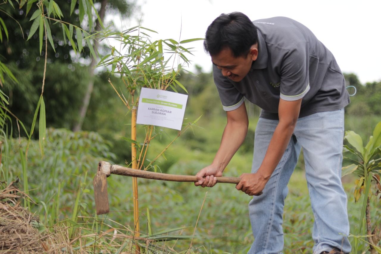 Program penghijauan melalui penanaman pohon yang dilakukan Sinergi Foundation./dok.istimewa 
