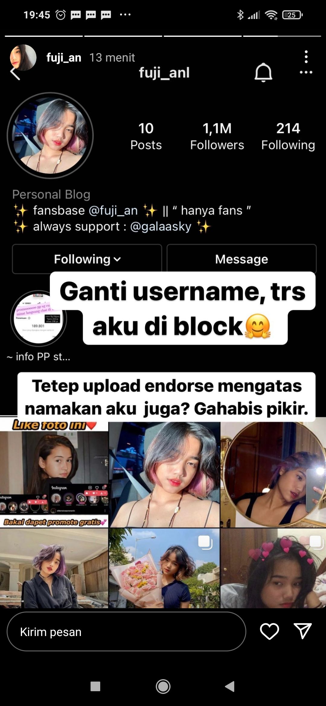 Instagram Story Fuji, adik Bibi Ardiansyah tentang akun palsu dirinya.