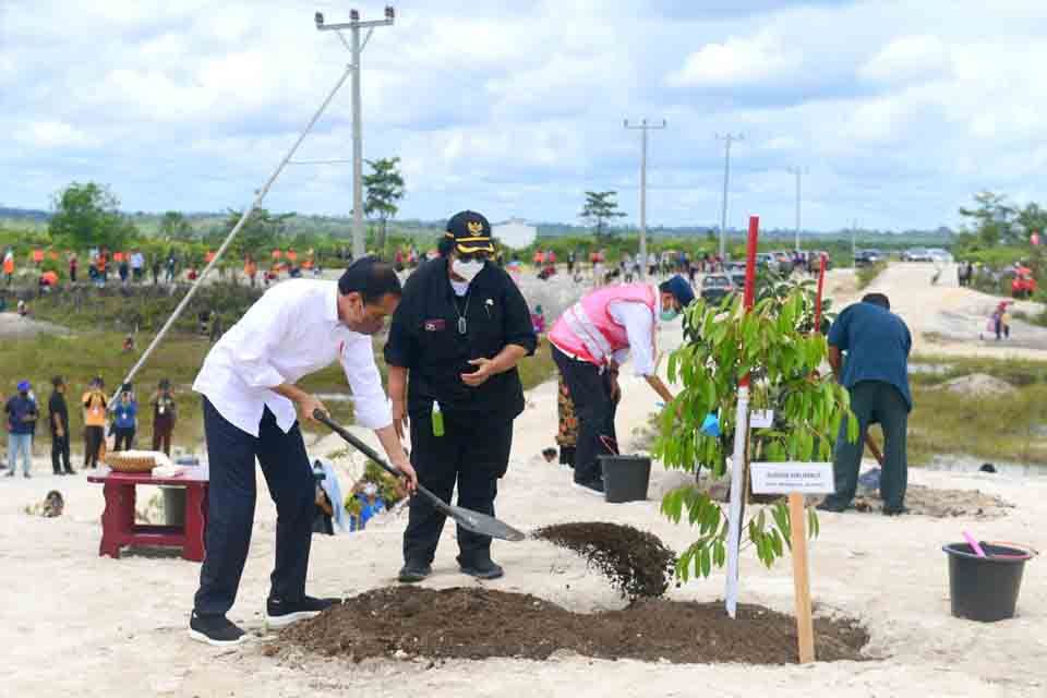 Presiden Jokowi melakukan penanaman pohon bersama masyarakat di salah satu daerah aliran sungai (DAS) di Sintang, Kalbar, Rabu, 8 Desember 2021. 