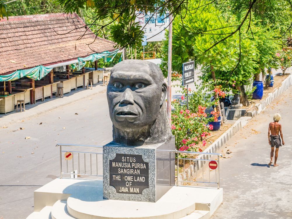 Desa Wisata Sangiran, Salah Satu Destinasi Wisata Pilihan di Sragen.