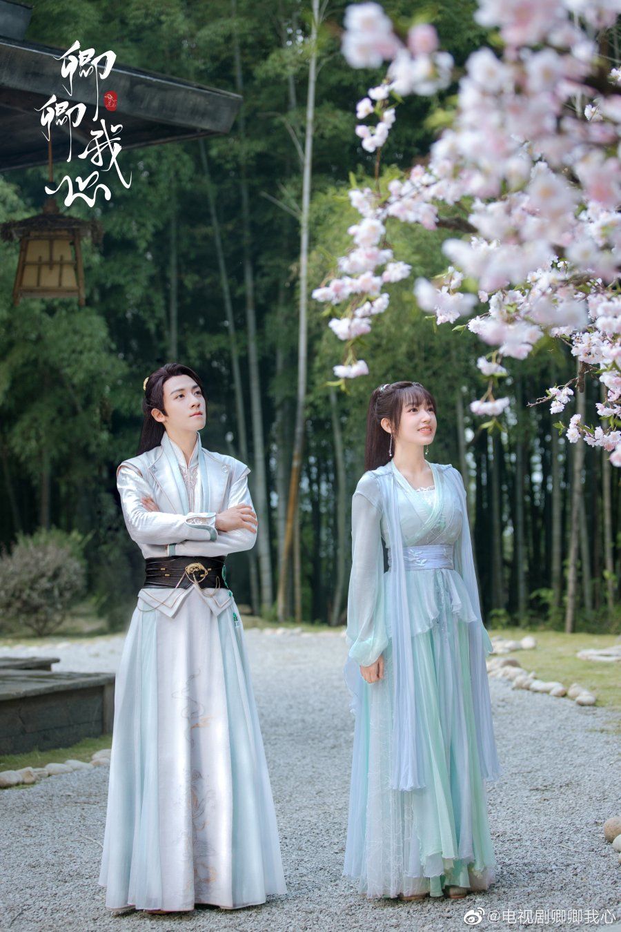 Pemain Drama China My Heart (2021), Dibintangi Cheng Xiao dan Jason Gu 