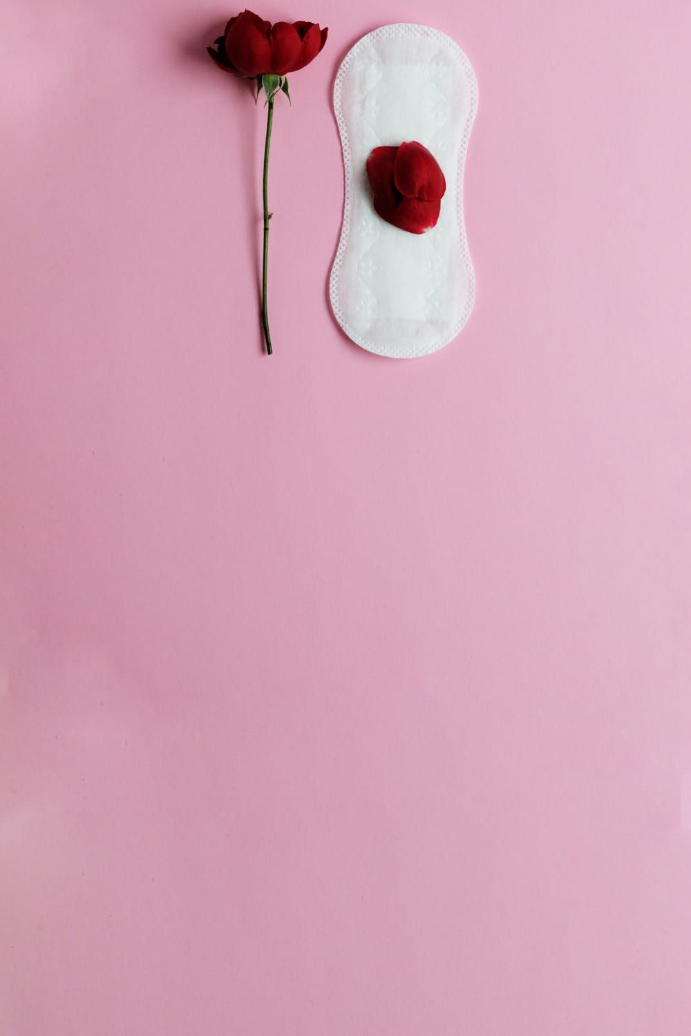 Ilustrasi menstruasi. /Pexels/Alina Blumberg 