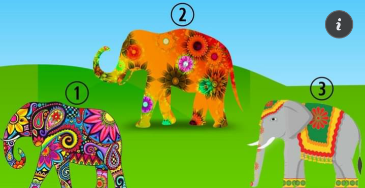 Pilihan gambar gajah dalam tes kepribadian. 