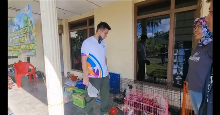 Baim Wong turut membantu pihak Animals Hope Shelter dalam merawat hewan yang dievakuasi dari lokasi erupsi Gunung Semeru
