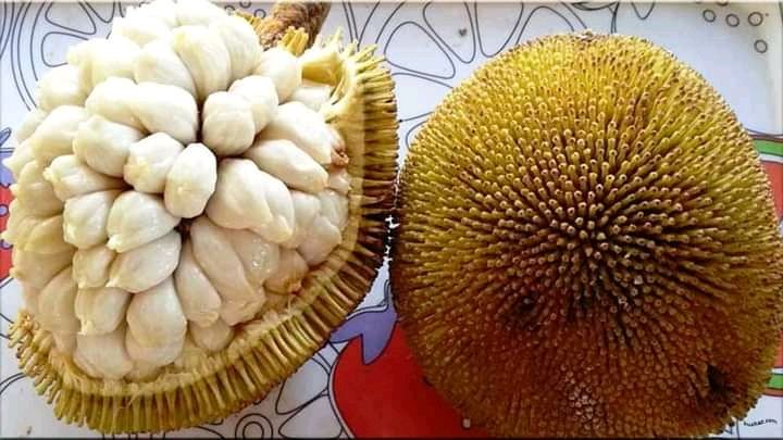 Buah Tarap