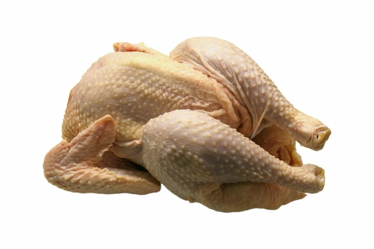 Ayam Sumber Protein Hewani, Baik untuk Cegah Stunting Pada Anak