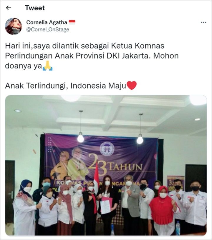 Cornelia Agatha Resmi Dilantik Jadi Ketua Komnas Perlindungan Anak DKI Jakarta, Janjikan Ini Selama Menjabat 