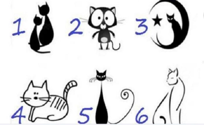 Tes kepribadian memilih kucing untuk ungkap karakter seseorang