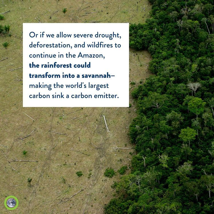 Deforestasi di Hutan Amazon. /Instagram @climatereality