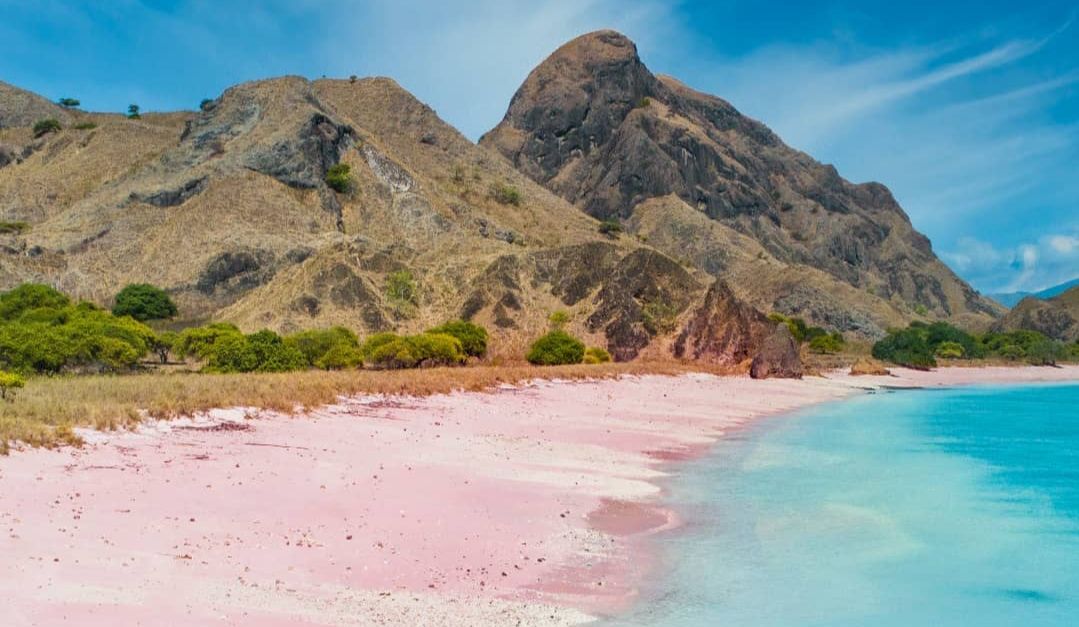 Termasuk Pink Beach, Inilah 5 Pantai Tercantik di Indonesia yang Patut Dikunjungi saat Liburan