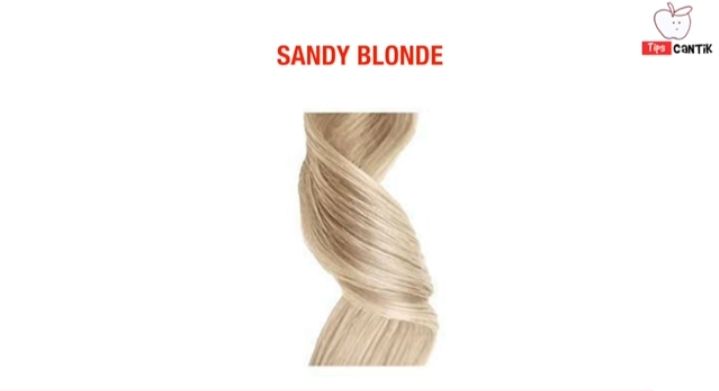 Ilustrasi Rambut Warna Sandy Blonde