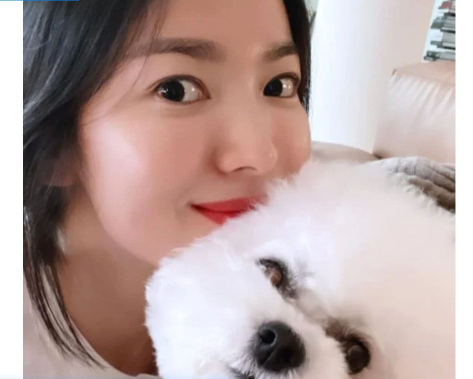 Song Hye Kyo memposting selfie dengan anak anjingnya di Instagram pribadinya