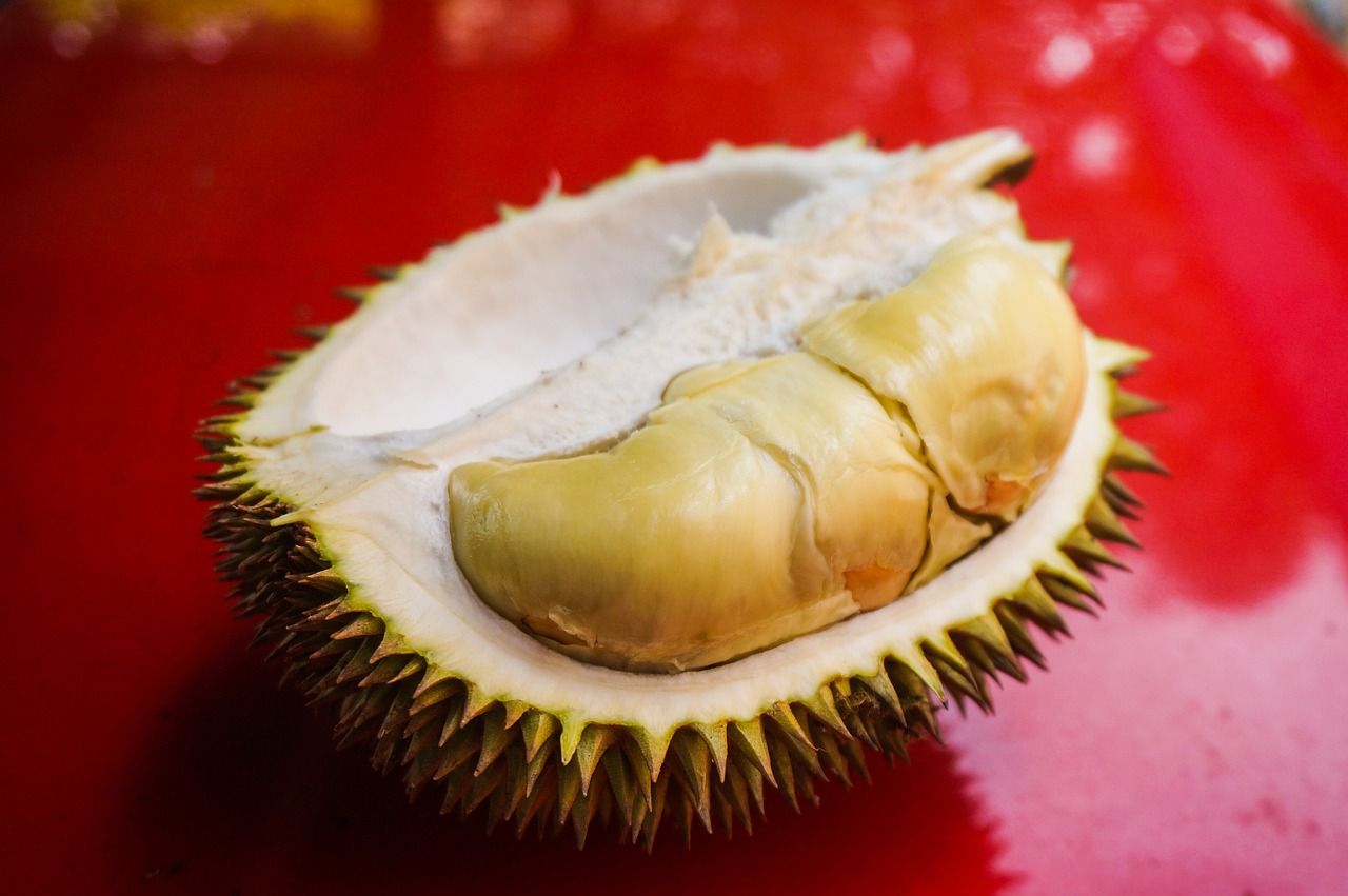 Durian tips pilih 7 Cara
