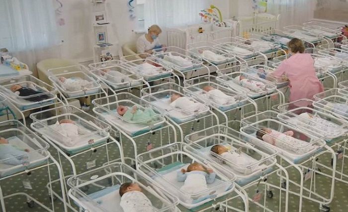 Sebanyak 2.000 bayi lahir lewat sewa rahim di Ukraina setiap tahun.*  