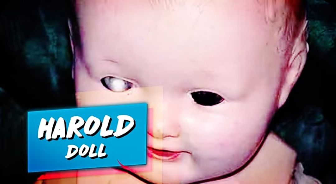 Harold Doll/Tangkap Layar YouTube Calon Sarjana