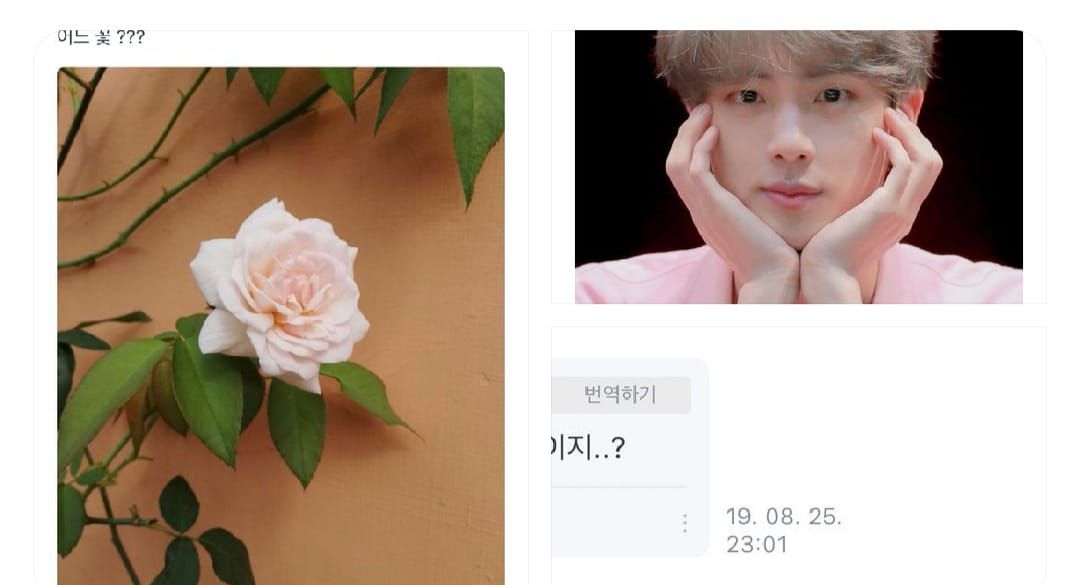 Jin BTS dibandingkan dengan bunga