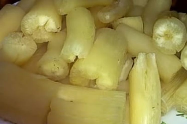 Jangan Anggap Remeh! Berikut Ini Adalah 5 Manfaat Singkong Untuk Kesehatan Tubuh