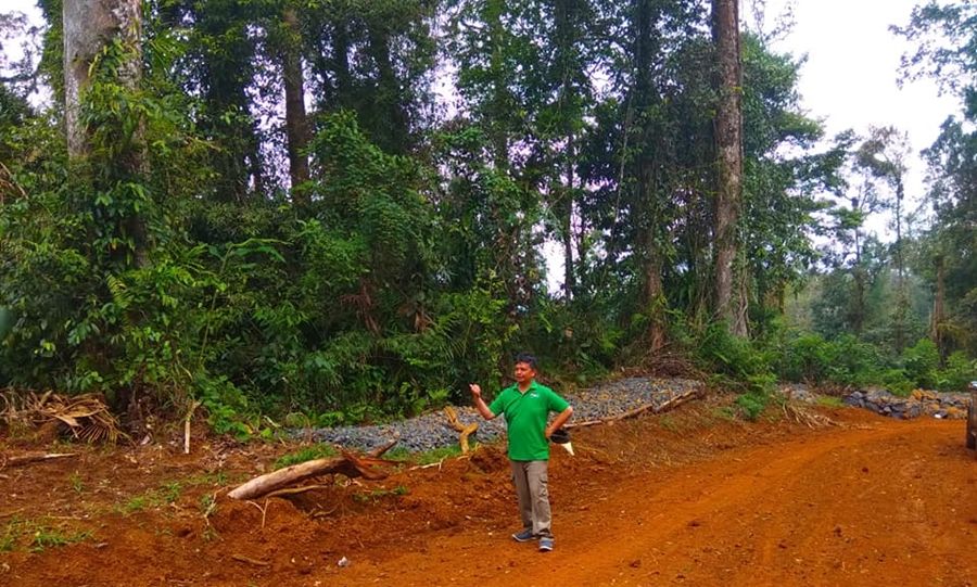 Dua pohon yang disebut-sebut bersemayam kakek-kakek gaib dalam batang pohon itu di jalur Gunung Sumbul, Cikadu, Cianjur-Rancabali, Ciwidey, Kabupaten Bandung, tahun 2018 sampai kini.