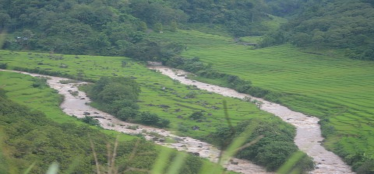 Pemandangan Sawah di Desa Ngkaer, dilihat dari Kebe Gego
