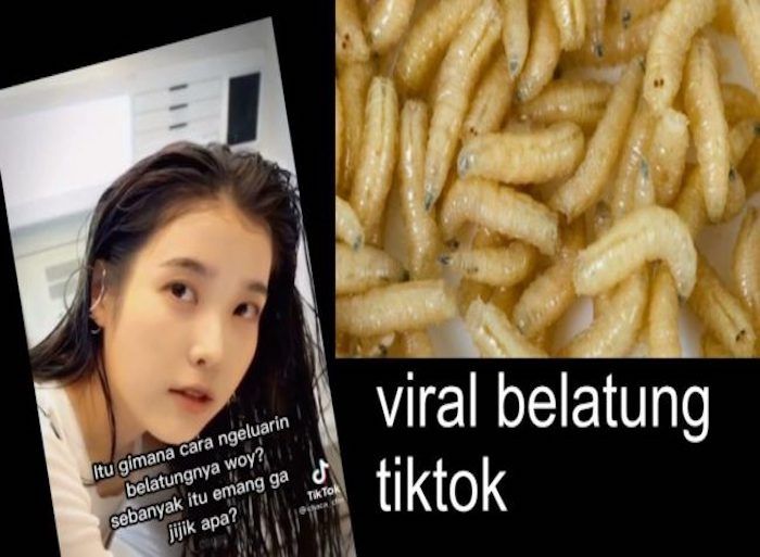  Inilah 5 fakta video hubungan intim libatkan belatung yang viral di media sosial TikTok, benarkah rekayasa belaka buat shock factor ?