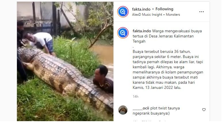 Viral! Pakai Tangan Kosong Buaya 6 Meter Diangkut Warga Dari Perairan ...