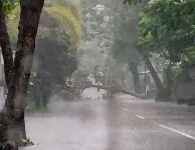 Prakiraan Cuaca 7 Hari ke Depan di Wilayah NTB, BMKG: Waspada Hujan Disertai Angin Kencang - Klik Mataram
