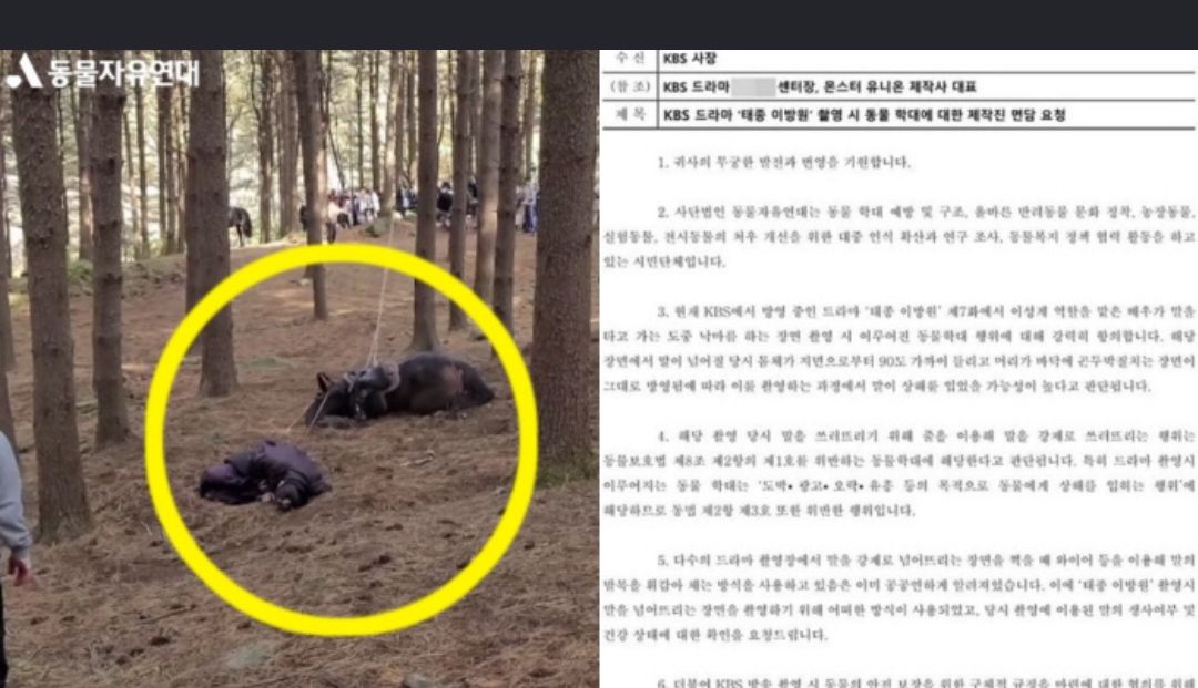 Koalisi Kebebasan Hewan, pengambilan foto Instagram di drama  The King of Tears, Lee Bang Won Episode 7
