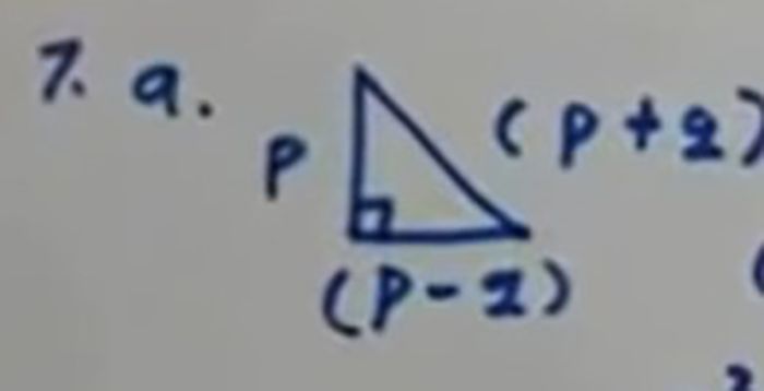 Kunci Jawaban Matematika Kelas 8 SMP Halaman 31, 32 Ayo Kita Berlatih 6.3 Tripel Pythagoras