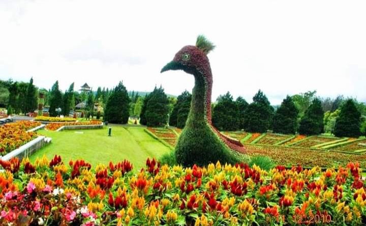 Taman Bunga Nusantara di Bogor