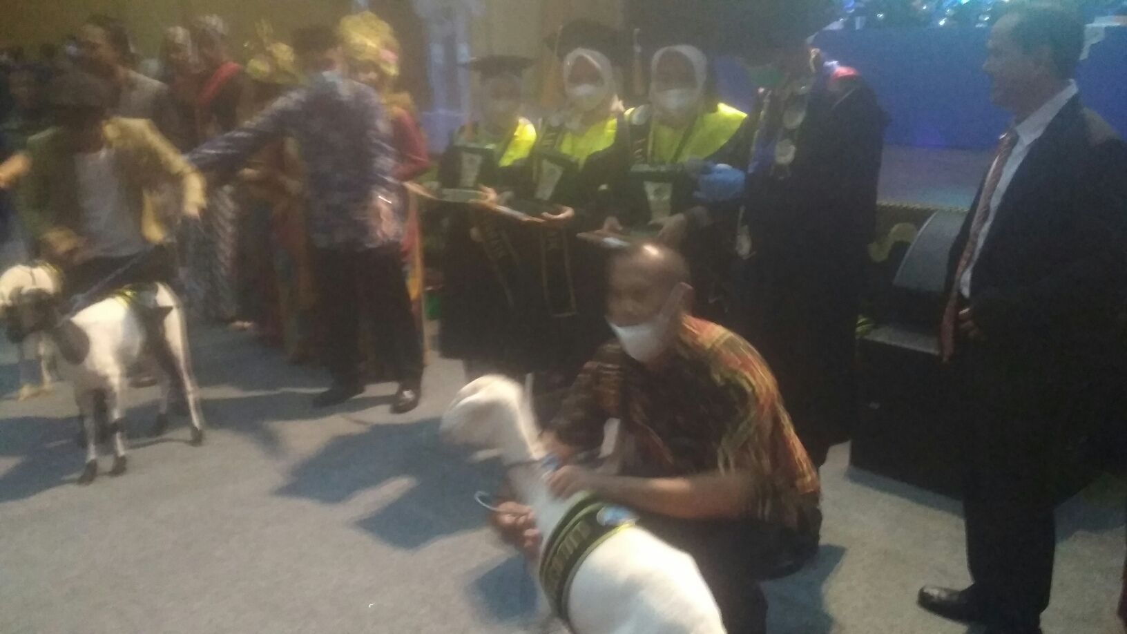 Mengejutkan! Tiga Wisudawan Terbaik STAI Sabili Dapat Hadiah Domba, Ini