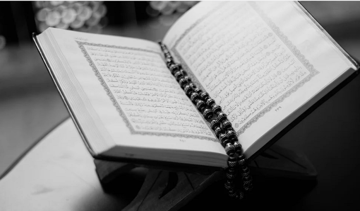 Download 82+ Contoh Surat Surat Al Mulk Sebaiknya Dibaca Kapan Gratis Terbaru