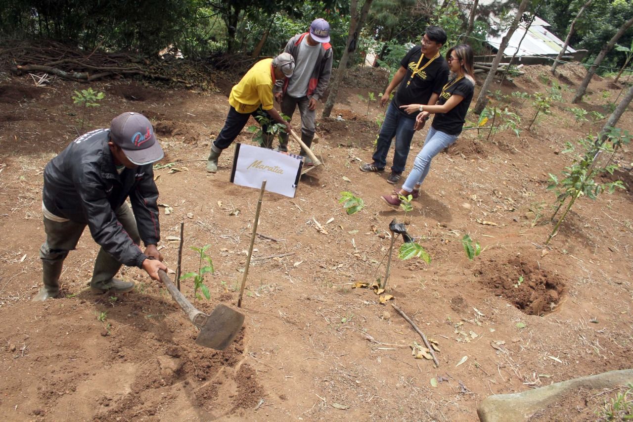 Bank bjb melalui program CSR menanam 1.000 bibit pohon di Desa Ciporeat, Kecamatan Cilengkrang, Kabupaten Bandung, Rabu, 26 Januari 2022./Darma Legi/Galamedia