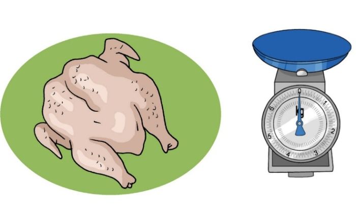 Timbangan dapur dapat digunakan untuk menimbang ayam