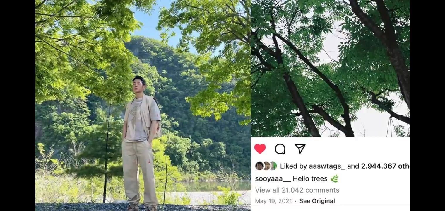 Latar pohon rindang unggahan Instagram Jisoo dan Hae In menjadi sorotan warganet