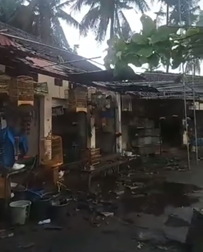 Akibat Angin Kencang dan Hujan Deras, Sejumlah Bangunan Roboh Rusak Parah