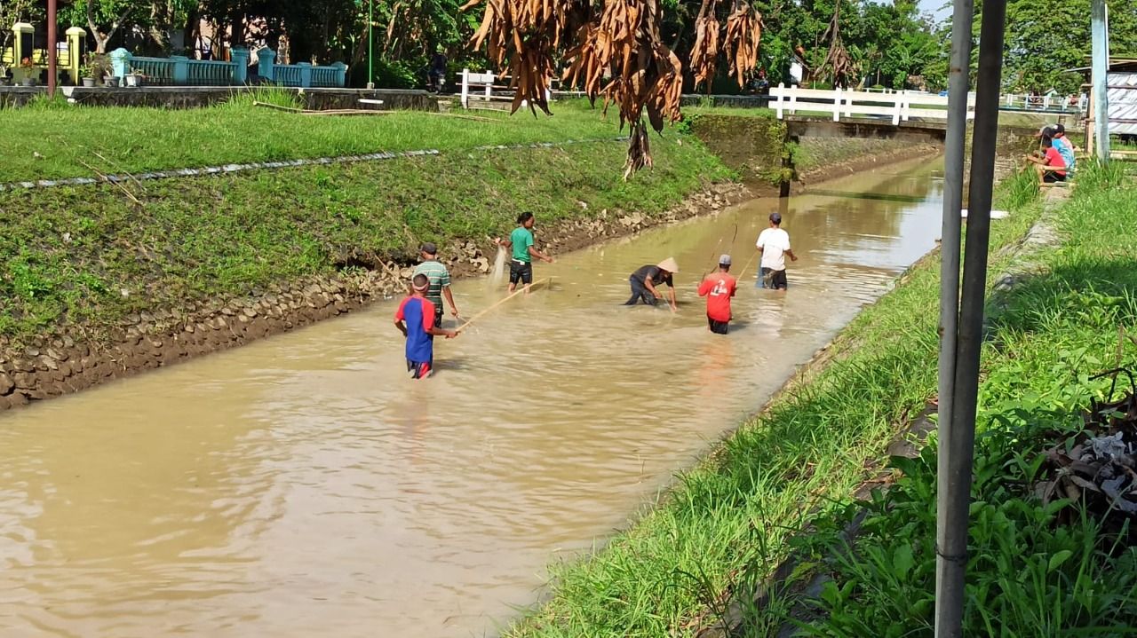 Warga Menjaring Ikan di Saluran Irigasi Desa Klopogodo Gombong Kebumen/Nugroho Purbohandoyo